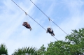 Bilder von unten aufgenommen